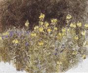 Studies of Flowers (mk37)